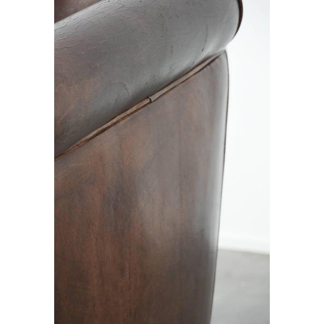 Stylish and Characterful Dark Brown Vintage Club Armchair in English Style Made of Sheepskin with Matching Piping For Sale - Image 14 of 16