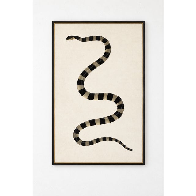Indian 1782 Vintage Snake Art Print by Bhawani Das – Indian Natural History Wall Art - 20" X 30" For Sale - Image 3 of 10