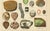 Dr. Gustav Adolph Kenngott, Mineralogy Quartz, Agate & Tourmaline, 1888, Chromolithographs, Set of 3 For Sale - Image 9 of 13