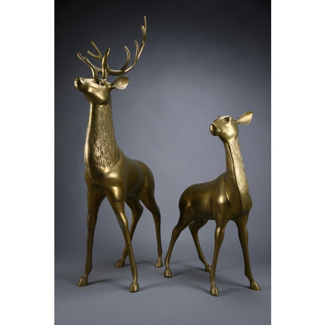 Hollywood Regency Brass Deer attributed to Maison Jansen, 1970s For Sale - Image 9 of 18