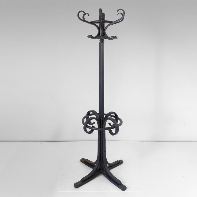 Antique Bentwood Coat Rack and Umbrella Stand, 1890s For Sale - Image 15 of 15