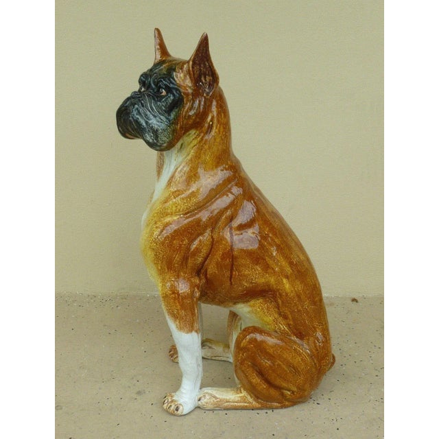 This is a large glazed Italian terra cotta model of a sitting boxer dog. The piece is from the 1970s.