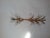 Hans Kogl Attributed 1970s Gilt Glass Prism Sconce For Sale - Image 4 of 7