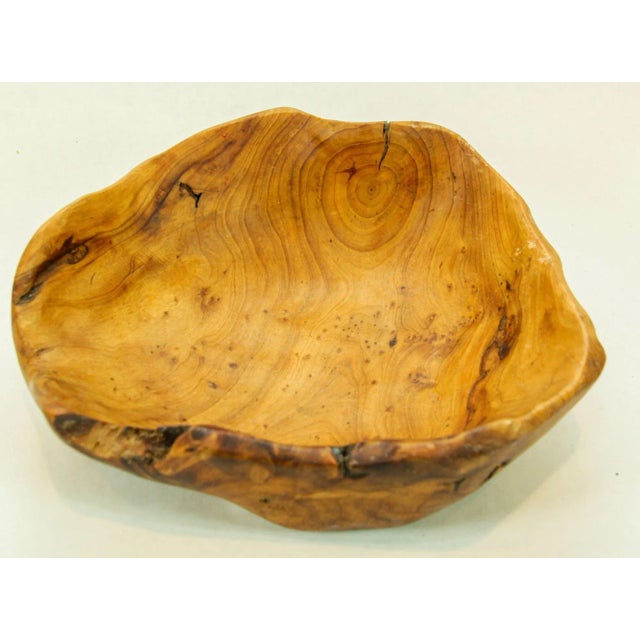 Mid 20th Century Organic Teak Burl Wood Bowl Natural Free Form Live Edge Sculptural Root Vessel For Sale - Image 5 of 12