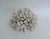 Chinoiserie Large Natural Cluster Coral Specimen Coastal Decor For Sale - Image 3 of 6