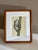 A small frog clings quietly to a vertical reed, captured in exquisite detail and earthy watercolor tones. The textured...