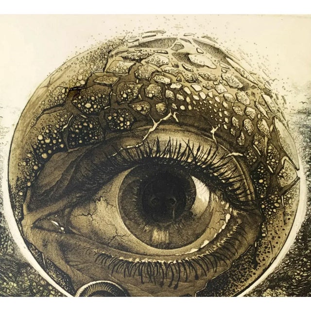 Barbara Rosiak, An Eye, 1985 For Sale - Image 6 of 7