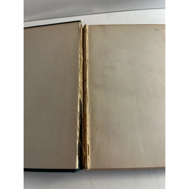 1900 - 1909 1906 Modern Breaking Setters Pointers Dog Book For Sale - Image 5 of 10