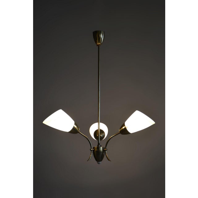 Mid-Century Chandelier in Brass and Frosted Glass, Czech, 1950s For Sale - Image 10 of 12