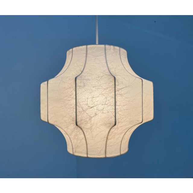 Rare Mid-Century Cocoon Pendant Lamp. The Cocoon material provides diffused, atmospheric light. At the same time, the...
