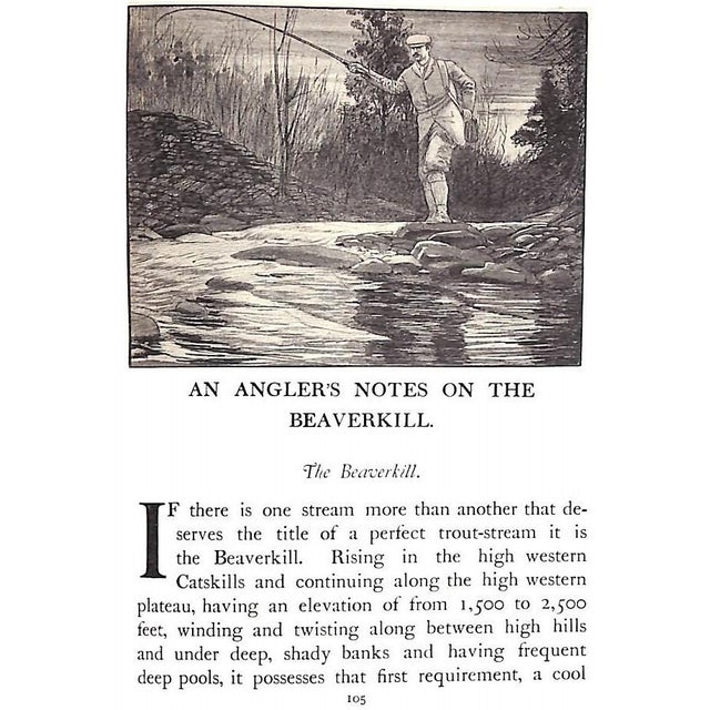 1900 - 1909 "The Speckled Brook Trout" 1902 Rhead, Louis For Sale - Image 5 of 12