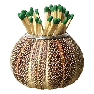Sea Urchin Matchstick | Pen Holder by Creel and Gow For Sale