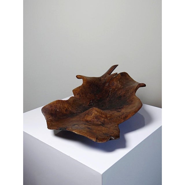 Large Bowl in Dark Raw Wood, 1950s For Sale - Image 6 of 17