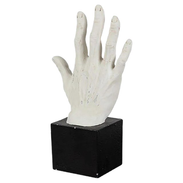 Hand Study in Plaster For Sale