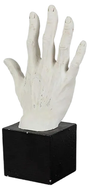 Hand Study in Plaster
