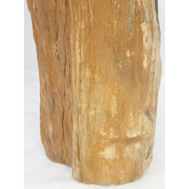 Beige Black Petrified Wood Organic Stomp Shape Stand End Side Table Pedestal For Sale - Image 6 of 10