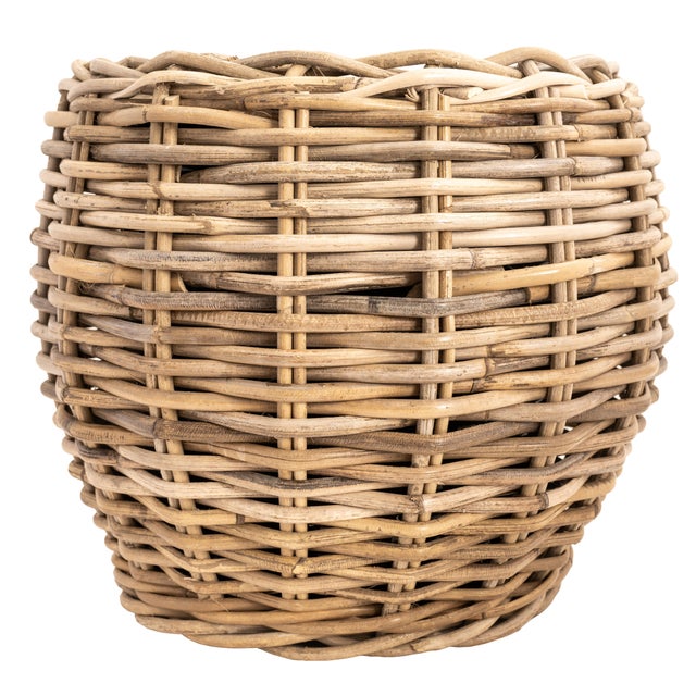 Artifacts Rattan Round Belly Planter with Black Plastic Insert, Natural, 13" For Sale - Image 4 of 9
