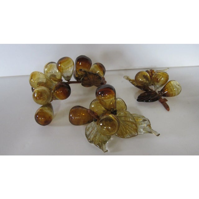 A set of three hollow blown glass grape clusters, in gorgeous hues of amber, yellow and brown. The set includes one long...