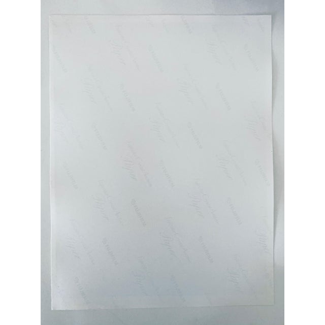 1990s Jeffrey Rothstein, Flora Fauna Series Vintage Color Photograph Abstract Flower Fuji Crystal Photo, c.1998 For Sale - Image 5 of 5