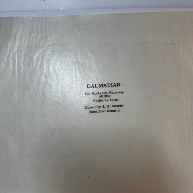 1930s Vintage Dalmatian Dog Print For Sale - Image 4 of 4