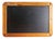 Vintage School Blackboard by Ankertafe, Germany, 1950s For Sale