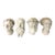 Vintage Plaster Reproductions of 4 Heads From the Wawel Collection, Poland - Set of 4 For Sale