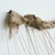 Lex Hogenhout, Spatial Weave / Shelter X, 1970s, Mixed Media Sculpture For Sale - Image 4 of 18