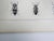 Gothic Mid 19th Century Us Pacifc Railroad Insect Beetle Lithograph Book Plate - A Pair For Sale - Image 3 of 5