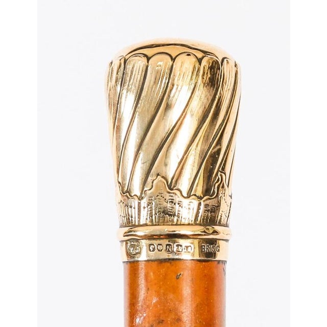 Antique Walking Stick Cane in 18k Gold Pommel, 1800s For Sale - Image 4 of 11