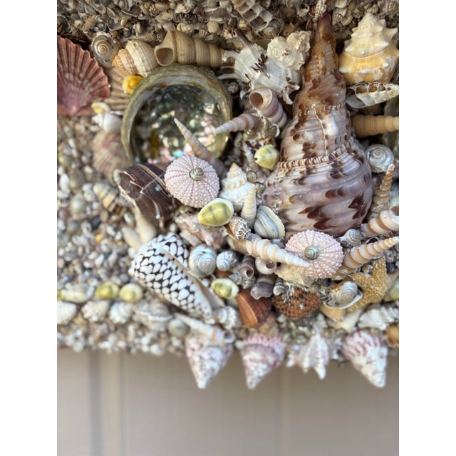 Cream Seashell Encrusted Fireplace Surround and Mantel For Sale - Image 8 of 18