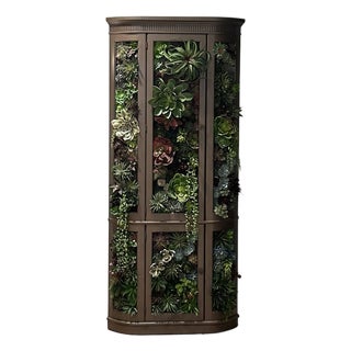 Succulent Curio Cabinet For Sale