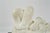 Eugene Gauss (1905 - 1988) Marble Sculpture of Reclining Nude, Dated 1978 For Sale In Los Angeles - Image 6 of 9