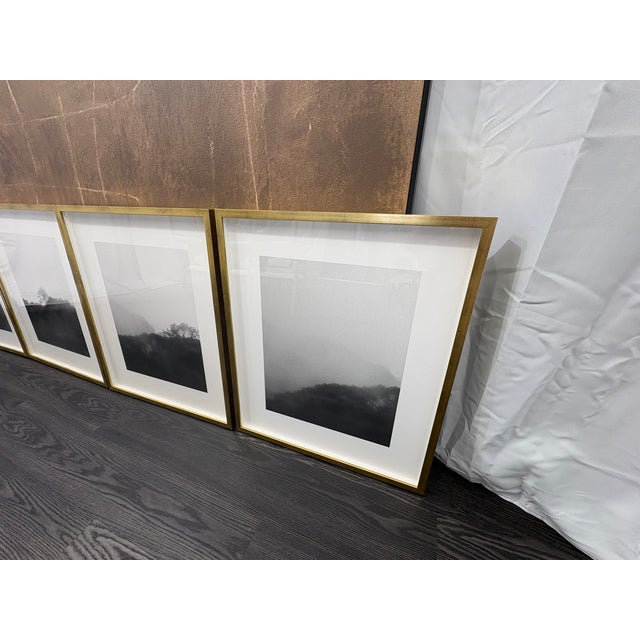 Wood Rh Kate Schermerhorn “Hidden Detail” Art Collection – Complete Set of 4 For Sale - Image 7 of 18