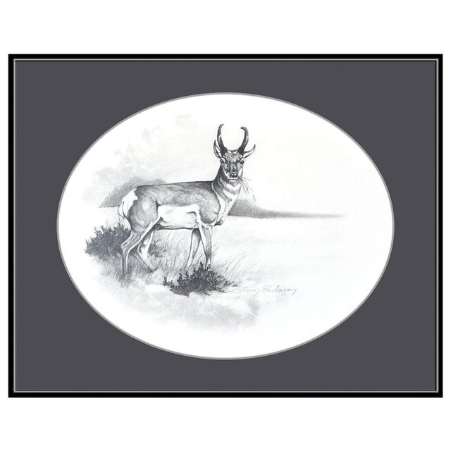 Message us to inquire about custom framing options! (Included for free with every purchase) The artwork here, "Pronghorn",...