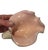For your consideration: A mid-twentieth-century Venetian art glass vessel executed in the biomorphic form of a stylized...