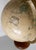 Mid-Century Decorative Cram's Imperial World Globe on Oak Base For Sale - Image 11 of 13