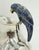 1970s Los Castillo Taxco Silver Plate & Lapis Parrot Pitcher For Sale - Image 15 of 18