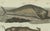 Bertuch, Sperm Whale and North Atlantic Whales, 1800, Engraving For Sale - Image 4 of 9
