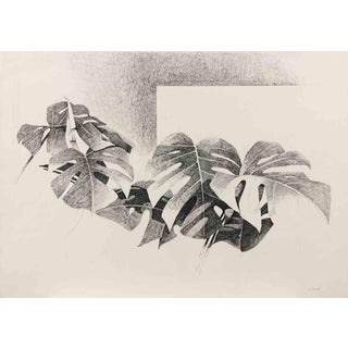 Mario Bardi, Plants, Lithograph, 1980s For Sale