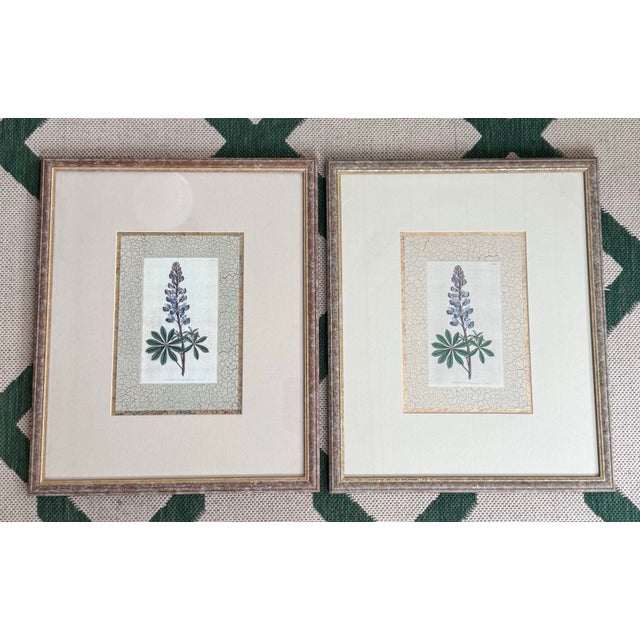 Traditional 18th Century William Curtis Set of Seven Hand-Colored Engravings For Sale - Image 3 of 9