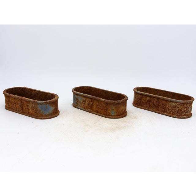 Small Cast Iron Oval Planter, France Early 20th C. For Sale - Image 4 of 10