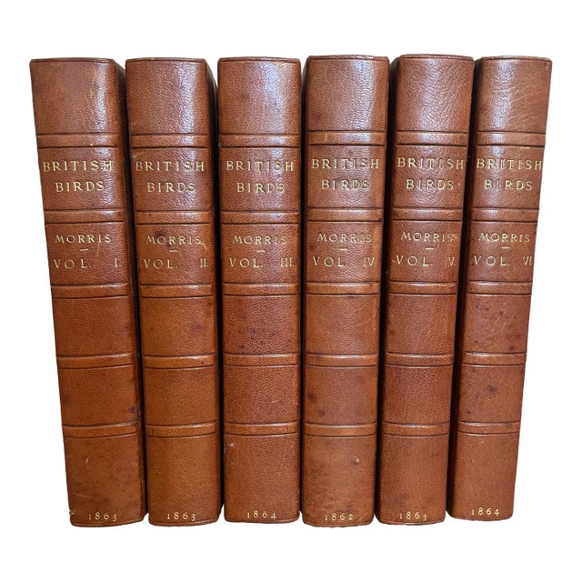 1990s Morris History of British Birds Books, 6 Volumes For Sale
