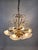 Glass Shell and Brass Chandelier attributed to Deknudt, 1970s For Sale - Image 11 of 18