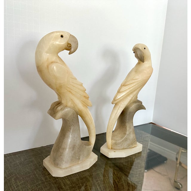 Mid-Century Modern Pair Italian Alabaster Parrot Bird Sculptures - Mid Century For Sale - Image 3 of 18