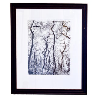 Framed Signed Photograph by J. D. Marston For Sale
