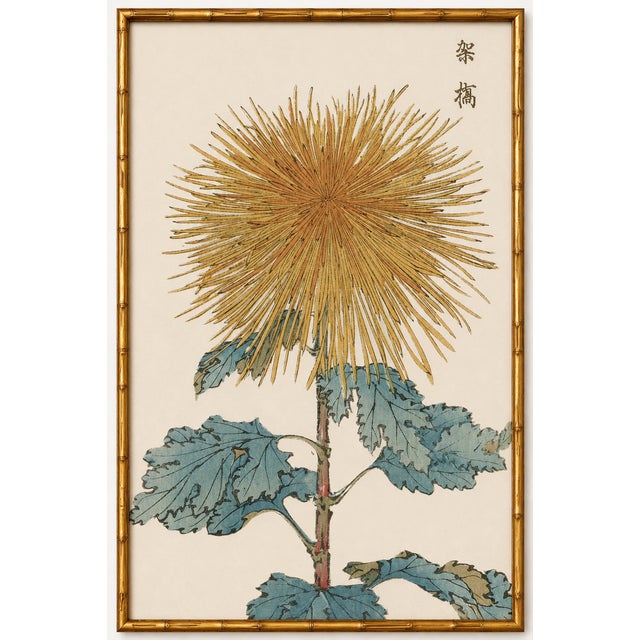 Golden Mum by Hasegawa, Vintage Japanese Botanical Art Print, 40" X 60" For Sale In Buffalo - Image 6 of 11