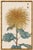 Golden Mum by Hasegawa, Vintage Japanese Botanical Art Print, 40" X 60" For Sale In Buffalo - Image 6 of 11