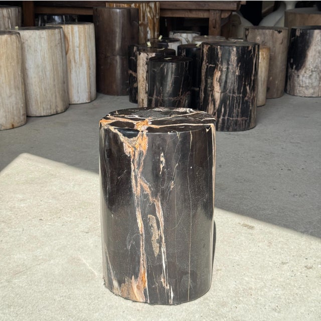 Side Table in Black Petrified Wood with Beige Star Pattern For Sale - Image 9 of 18