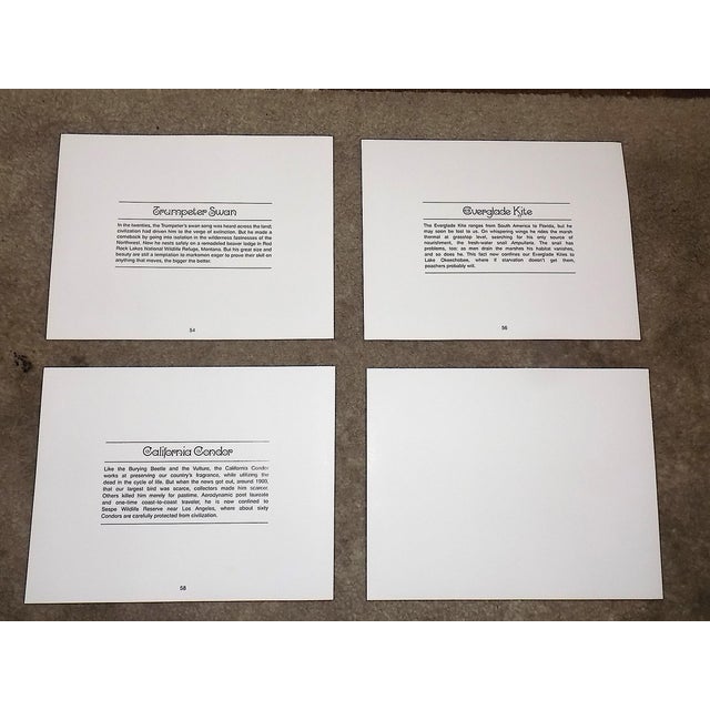 Vintage Charley Harper Modernist Abstracted Bird Lithographs (10.75" X 8.25") - Set of 4 For Sale In Cincinnati - Image 6 of 10