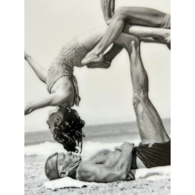 Pop Art Jeff Koons,WOW (Works on Whatever) Collector’s Plate For Sale - Image 3 of 8